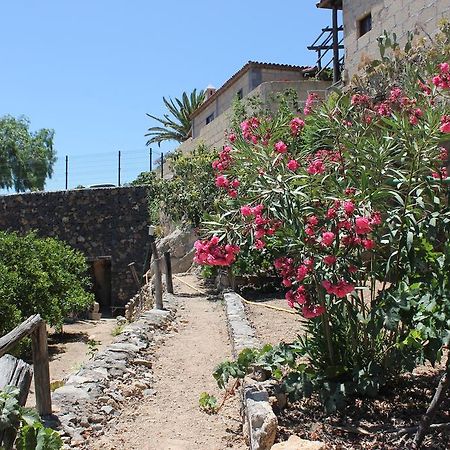 Casa Rural Anton Piche With Pool-Adults Only Granadilla De Abona Εξωτερικό φωτογραφία