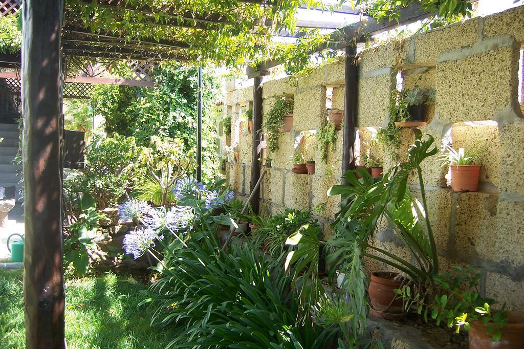 Casa Rural Anton Piche With Pool-Adults Only Granadilla De Abona Εξωτερικό φωτογραφία
