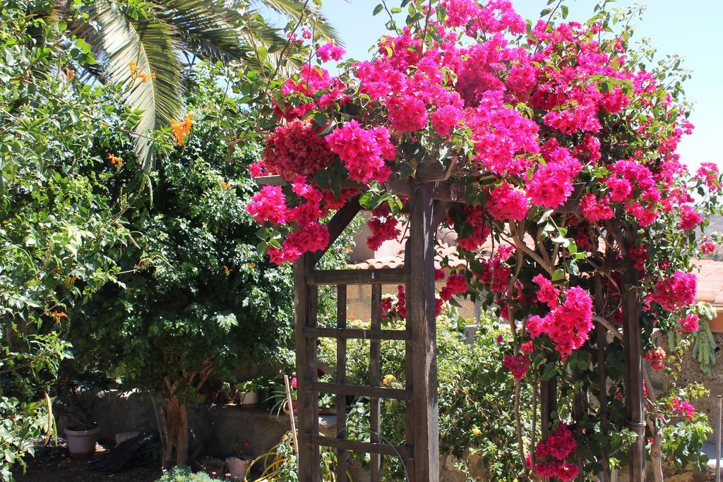 Casa Rural Anton Piche With Pool-Adults Only Granadilla De Abona Εξωτερικό φωτογραφία