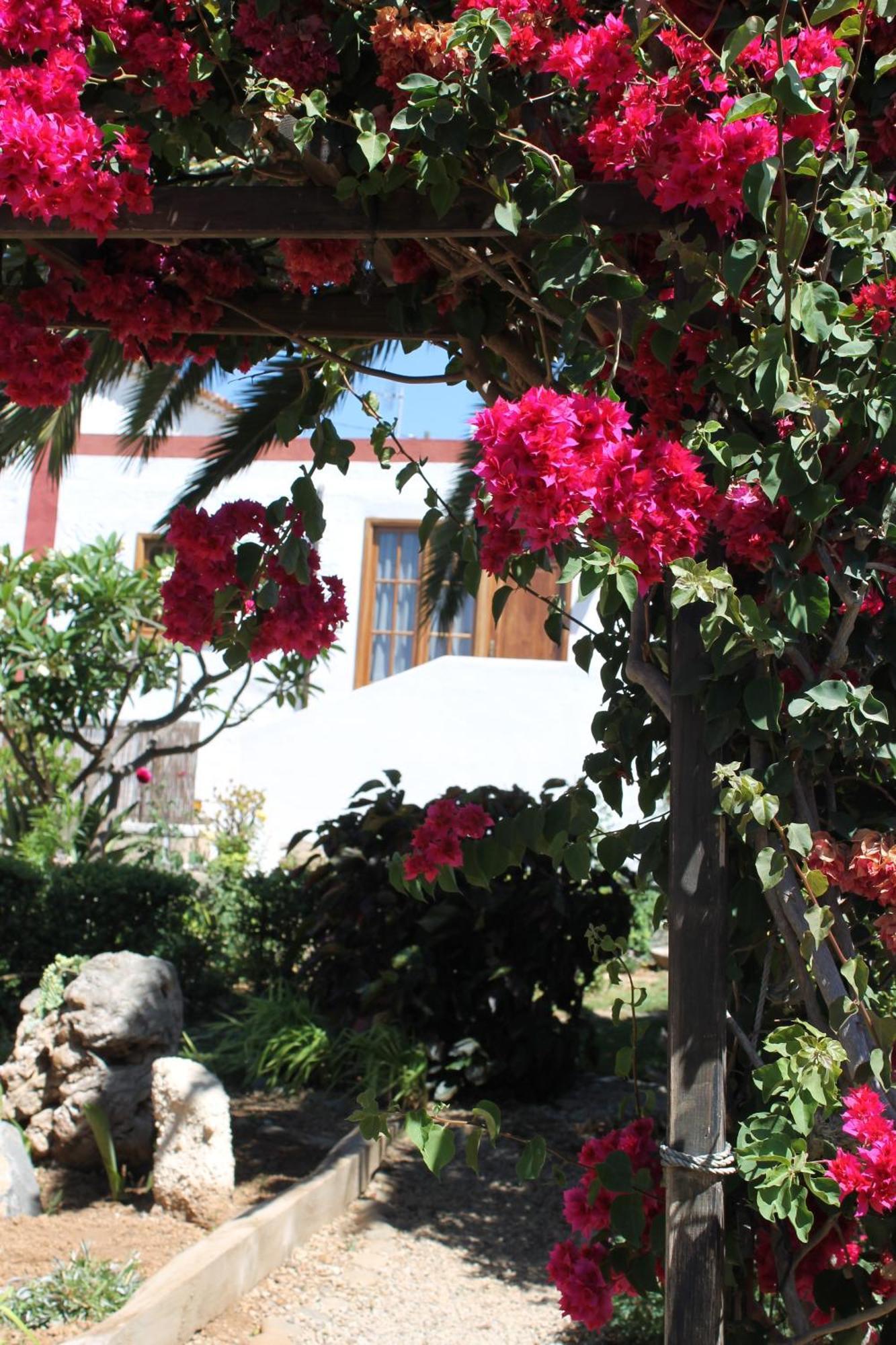 Casa Rural Anton Piche With Pool-Adults Only Granadilla De Abona Εξωτερικό φωτογραφία