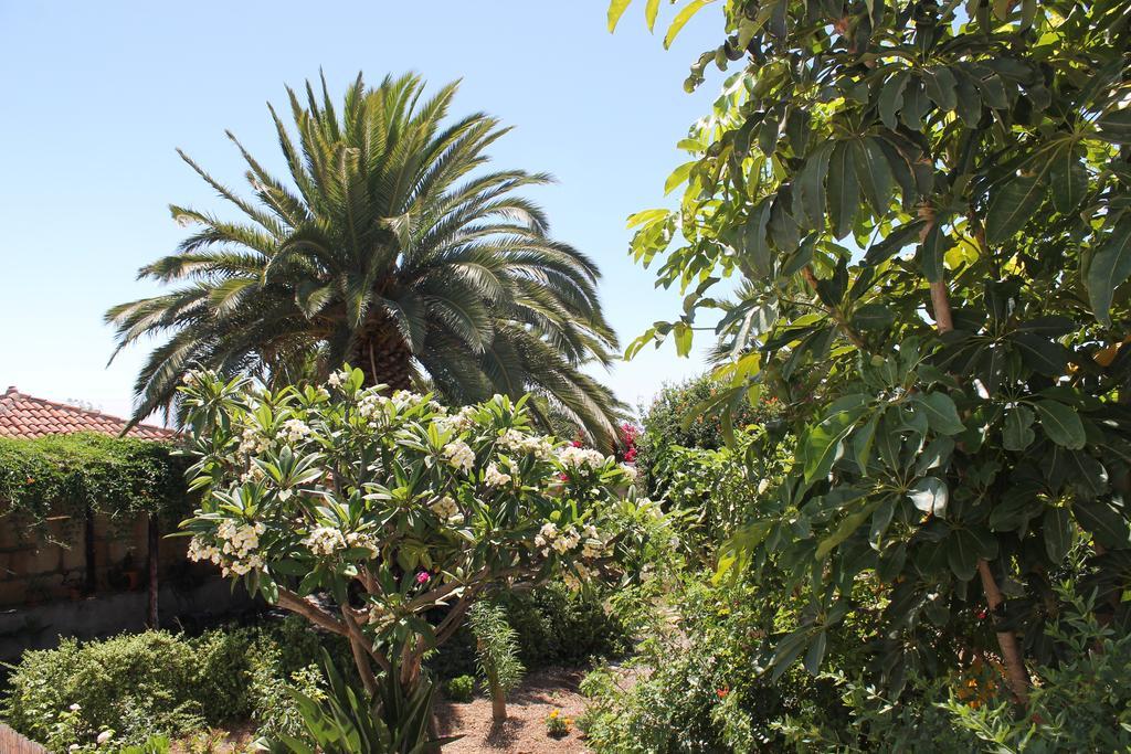 Casa Rural Anton Piche With Pool-Adults Only Granadilla De Abona Εξωτερικό φωτογραφία