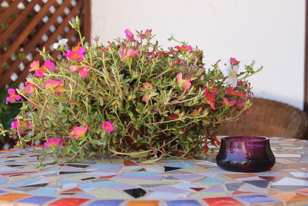 Casa Rural Anton Piche With Pool-Adults Only Granadilla De Abona Εξωτερικό φωτογραφία