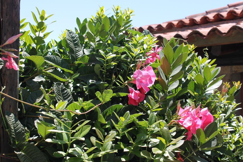 Casa Rural Anton Piche With Pool-Adults Only Granadilla De Abona Εξωτερικό φωτογραφία
