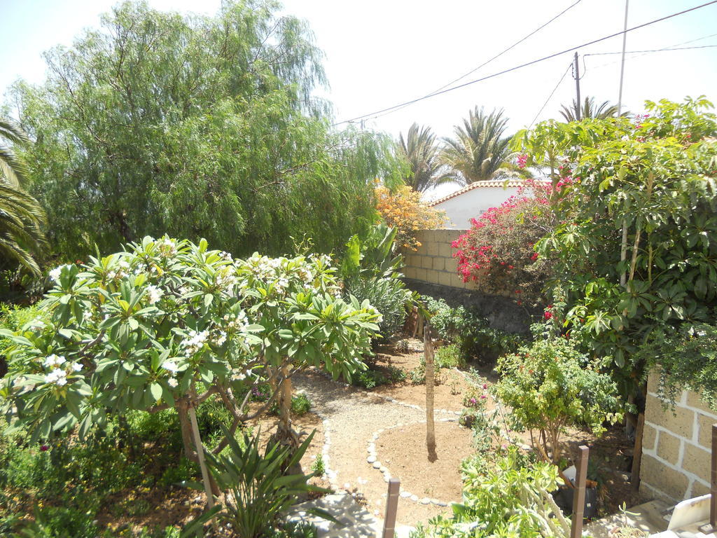 Casa Rural Anton Piche With Pool-Adults Only Granadilla De Abona Εξωτερικό φωτογραφία