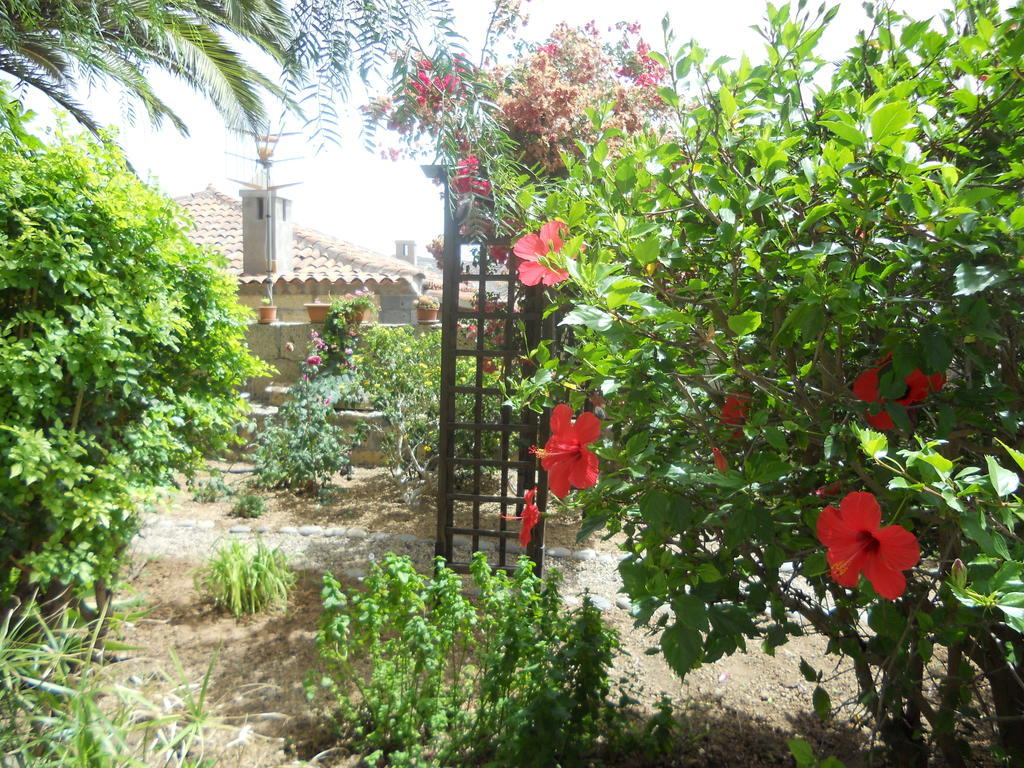 Casa Rural Anton Piche With Pool-Adults Only Granadilla De Abona Εξωτερικό φωτογραφία