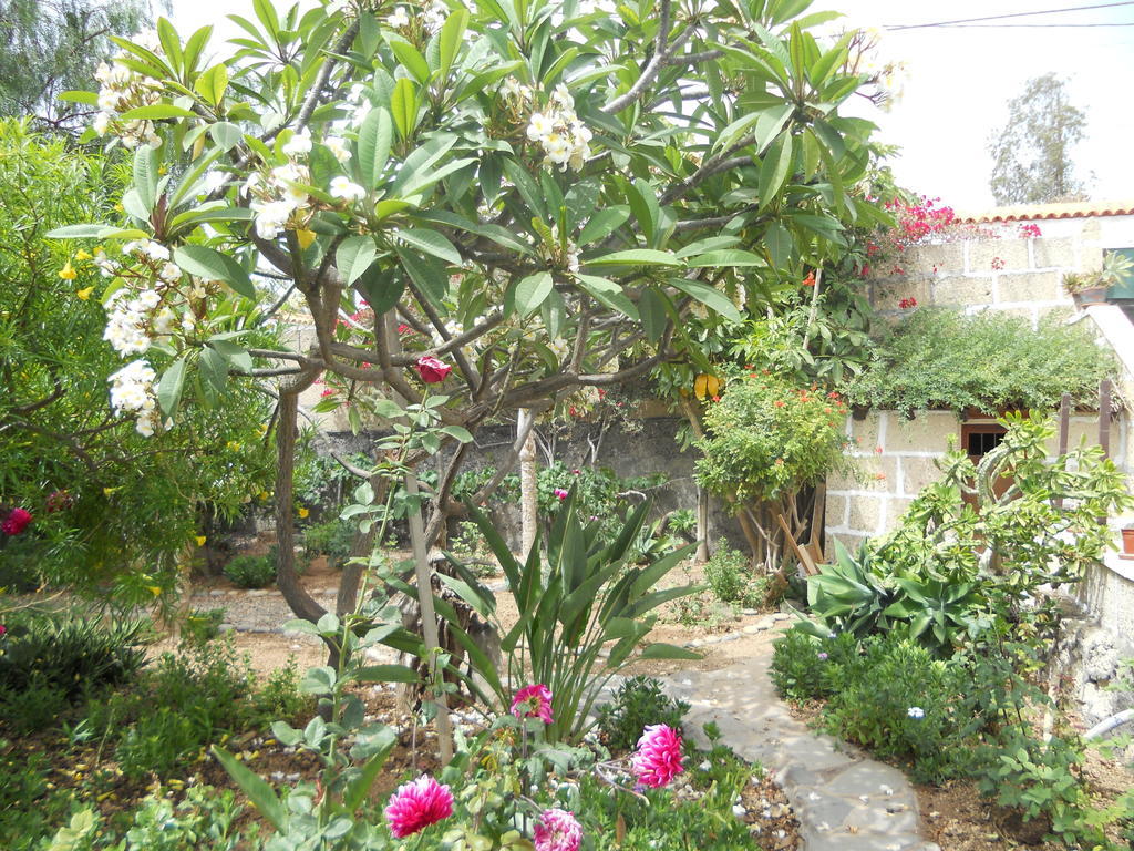 Casa Rural Anton Piche With Pool-Adults Only Granadilla De Abona Εξωτερικό φωτογραφία