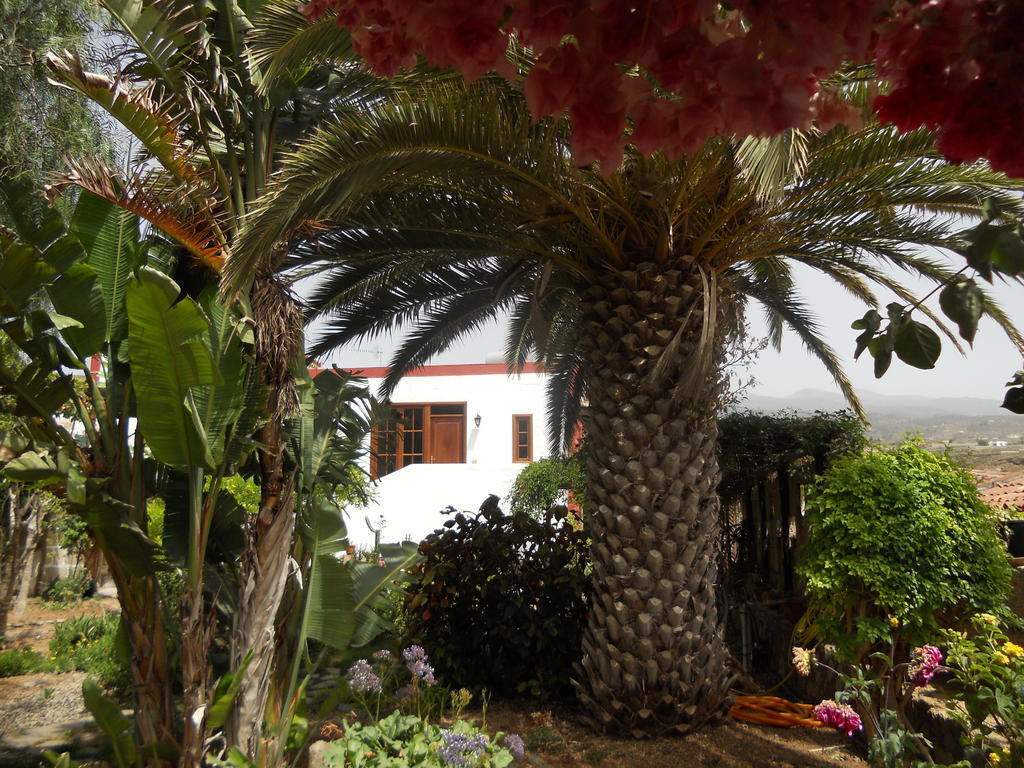 Casa Rural Anton Piche With Pool-Adults Only Granadilla De Abona Εξωτερικό φωτογραφία
